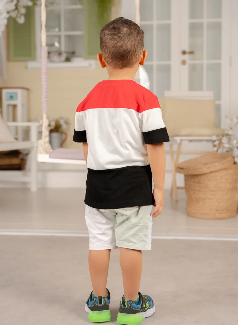 D'Daniela Egypt Flag Tshirt National Wear