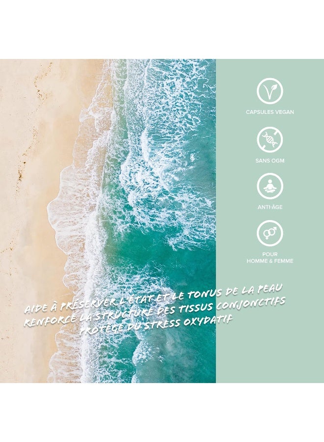 كيو ان تي كولاجين كيو إن تي كير ٥٠٠ ملغ + فيتامين سي - ٩٠ كبسولة مضادة للشيخوخة، مضادة للأكسدة، تحمي من الإجهاد التأكسدي - Image 4