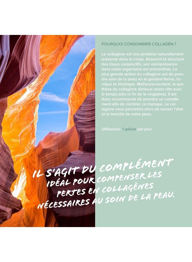 كيو ان تي كولاجين كيو إن تي كير ٥٠٠ ملغ + فيتامين سي - ٩٠ كبسولة مضادة للشيخوخة، مضادة للأكسدة، تحمي من الإجهاد التأكسدي - Image 5