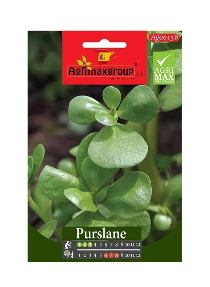 Generic Purslane Premium Quality Seeds by Agrimaxgroup®"Garden Care" 