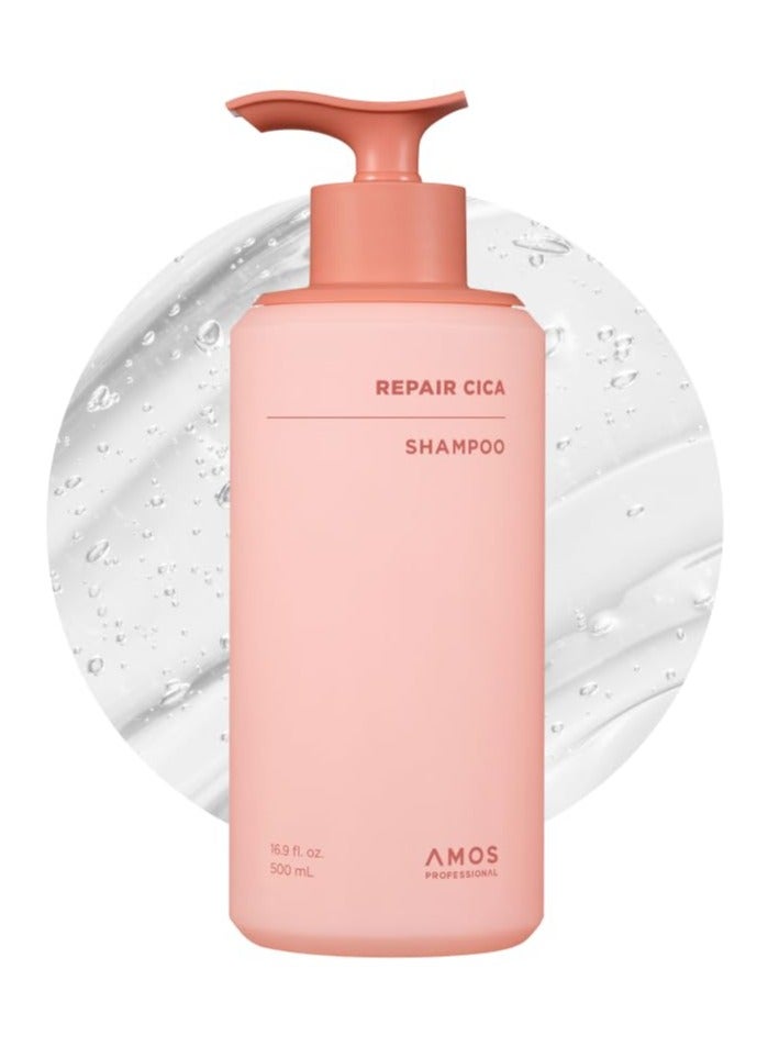 أموس بروفيشنال اموس بوفيشنال شامبو ريبير سيكا لإصلاح وتقوية وتغذية الأطراف المتقصفة والتقصف، عكس تلف الشعر الناتج عن التبييض واللون والخدمات الكيميائية، 500ml سائلة - Image 1