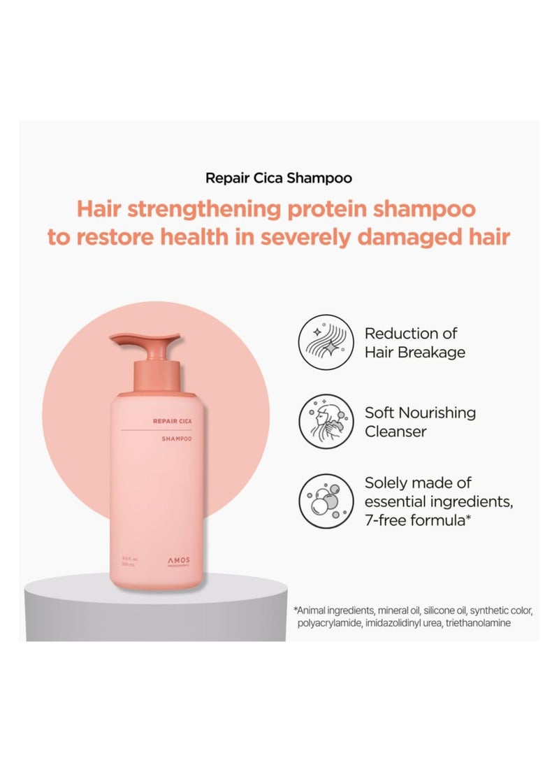 أموس بروفيشنال اموس بوفيشنال شامبو ريبير سيكا لإصلاح وتقوية وتغذية الأطراف المتقصفة والتقصف، عكس تلف الشعر الناتج عن التبييض واللون والخدمات الكيميائية، 500ml سائلة - Image 2