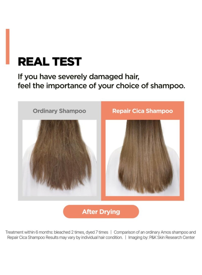 أموس بروفيشنال اموس بوفيشنال شامبو ريبير سيكا لإصلاح وتقوية وتغذية الأطراف المتقصفة والتقصف، عكس تلف الشعر الناتج عن التبييض واللون والخدمات الكيميائية، 500ml سائلة - Image 3