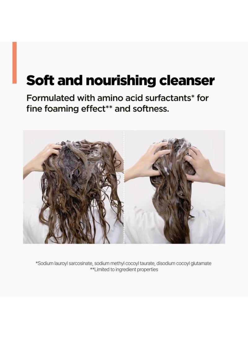 أموس بروفيشنال اموس بوفيشنال شامبو ريبير سيكا لإصلاح وتقوية وتغذية الأطراف المتقصفة والتقصف، عكس تلف الشعر الناتج عن التبييض واللون والخدمات الكيميائية، 500ml سائلة - Image 5