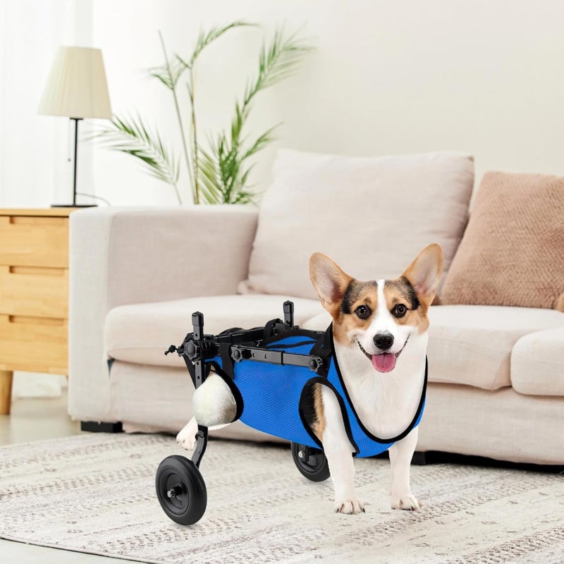 Medium Dogs, Canine Wheelchair for Back Legs, 4 Wheels, Metal Quality Frame, Adjustable Support Cart for Recovery, for Dogs 6-9Kg, Breathable Mesh Material, Easy to Assemble - Image 2