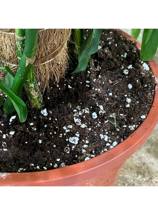 DESERT ENERGY Desert 100% Natural Perlite 10Ltr for Indoor outdoor plants - Image 2