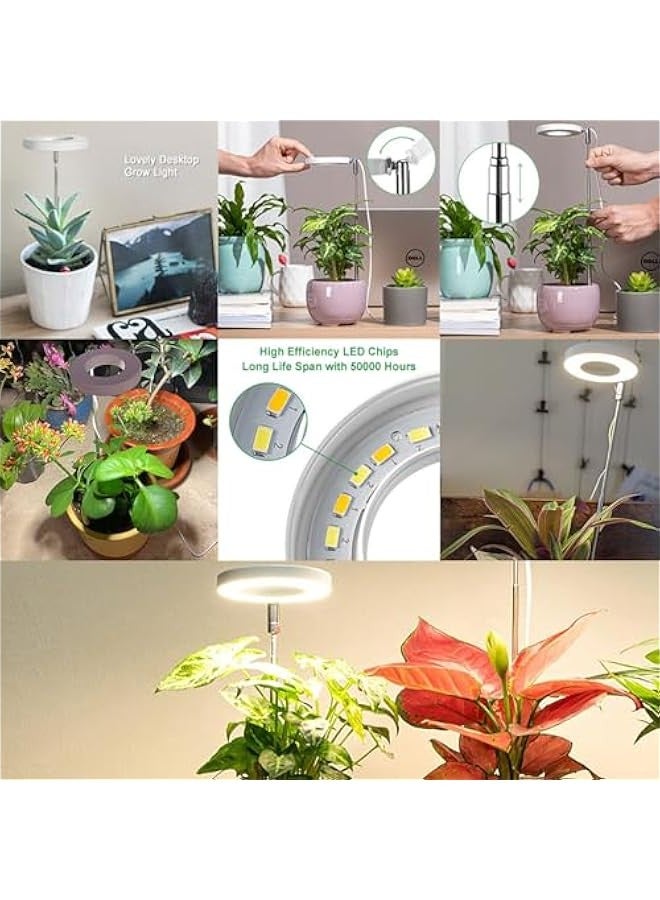 TRASSLE 2 Pcs Grow Light, Full Spectrum LED Plant Light for Indoor Plants, Height Adjustable Growing Lamp with Auto On/Off Timer 2/4/8H, 4 Dimmable Brightness, Ideal for Small Plants  - Image 5