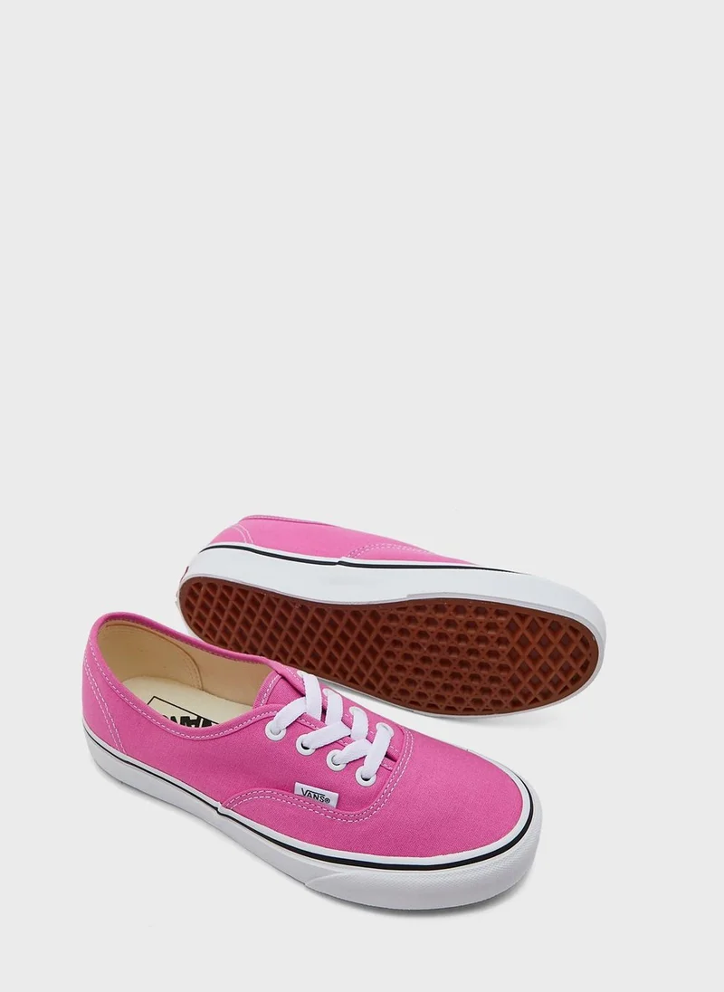 فانز Authentic