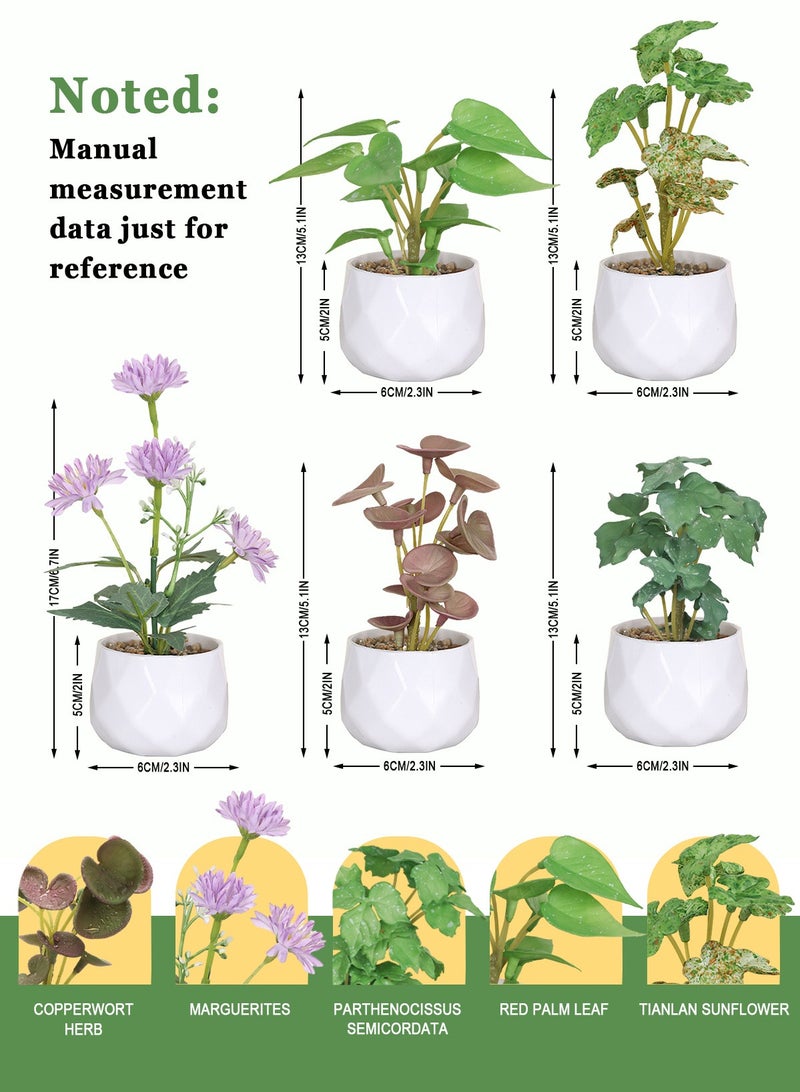 هومار كيت 5 عبوات من النباتات المزيفة الصغيرة في الأواني، نباتات خضراء صناعية بوعاء، نباتات صناعية مزروعة بوعاء زهور في الأماكن المغلقة لمكتب المكتب وطاولة القهوة والحمام وغرفة النوم وديكورات المنزل - Image 4