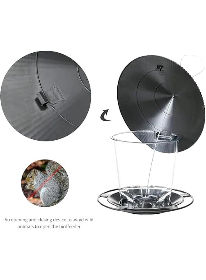 TRASSLE Bird Feeders for Outside, Bird Feeder, Wild Bird Seed for Outside Feeders, Squirrel Proof Birds Feeder and Garden Decoration Yard for Bird Watchers  - Image 5