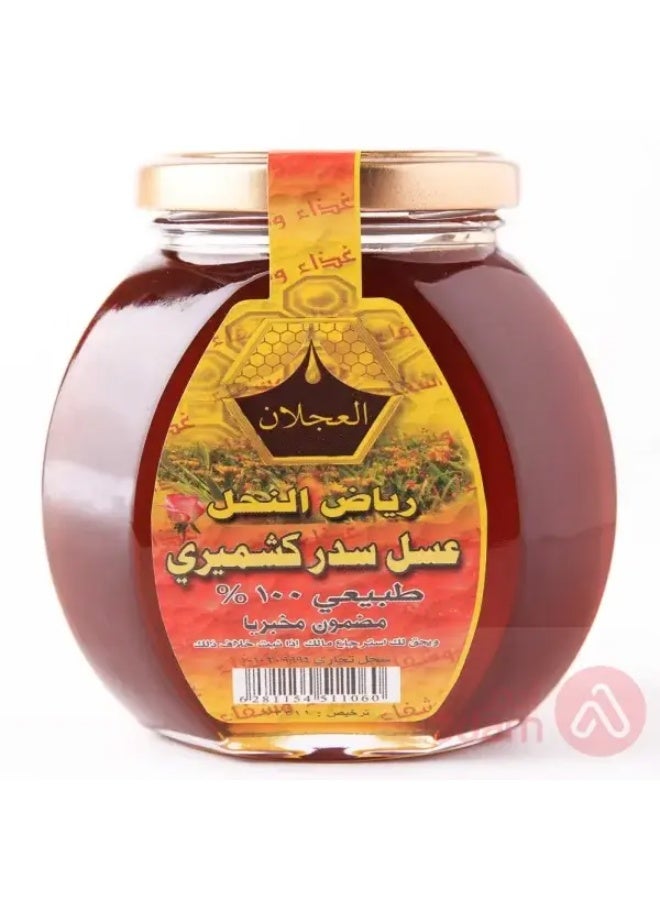 Riyadh Al‑Nahil Kashmiri Sidr Honey – 500 g