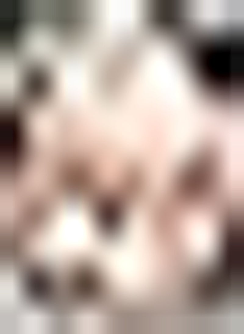 جي جوت 5 قطع من بذور الخوخ غير المعدلة وراثيًا، بذور موروثة، فاكهة ممتلئة تجعلك ترغب في تناولها مرة أخرى، تجعل فمك يسيل، سهلة الزراعة في الحديقة - Image 1