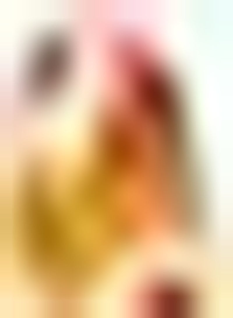 جي جوت 5 قطع من بذور الخوخ غير المعدلة وراثيًا، بذور موروثة، فاكهة ممتلئة تجعلك ترغب في تناولها مرة أخرى، تجعل فمك يسيل، سهلة الزراعة في الحديقة - Image 2