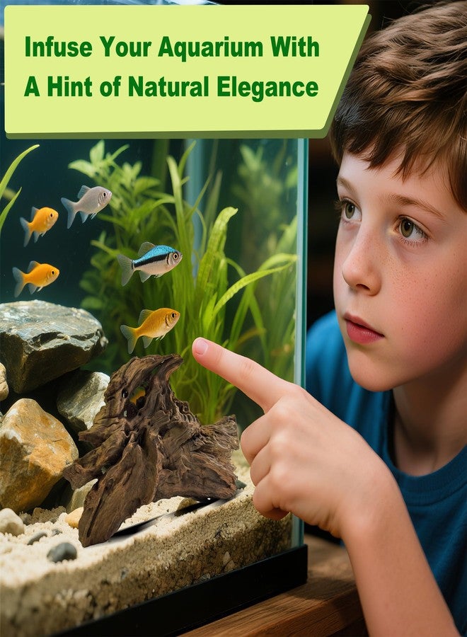 HEMYIS Natural Driftwood for Aquarium Decor,Reptile Habitat&Home DIY Decor,Naturally Unique Shapes Weathered Wood,Easy to Use S-(6-8 Inch/0.9-1.3 Lbs)-Pack of 1 - Image 5