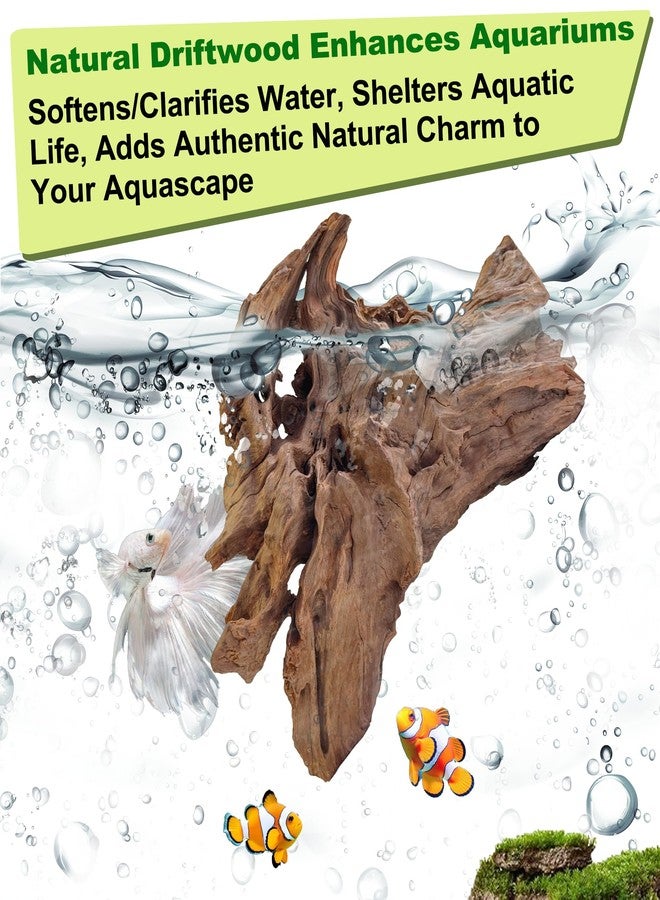 HEMYIS Natural Driftwood for Aquarium Decor,Reptile Habitat&Home DIY Decor,Naturally Unique Shapes Weathered Wood,Easy to Use S-(6-8 Inch/0.9-1.3 Lbs)-Pack of 1 - Image 4