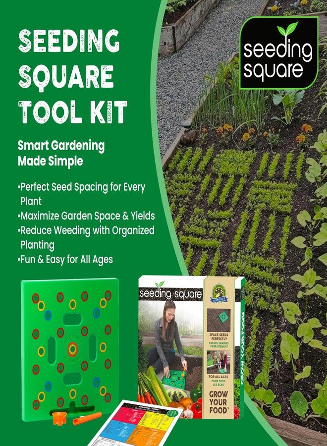 Seeding Square - Patented Seed and Seedling Spacer Tool for Bigger Harvests, Organized Plants & Fewer Weeds - Color-Coded Gardening Template with Magnetic Dibber, Ruler & Planting Guide - Image 2
