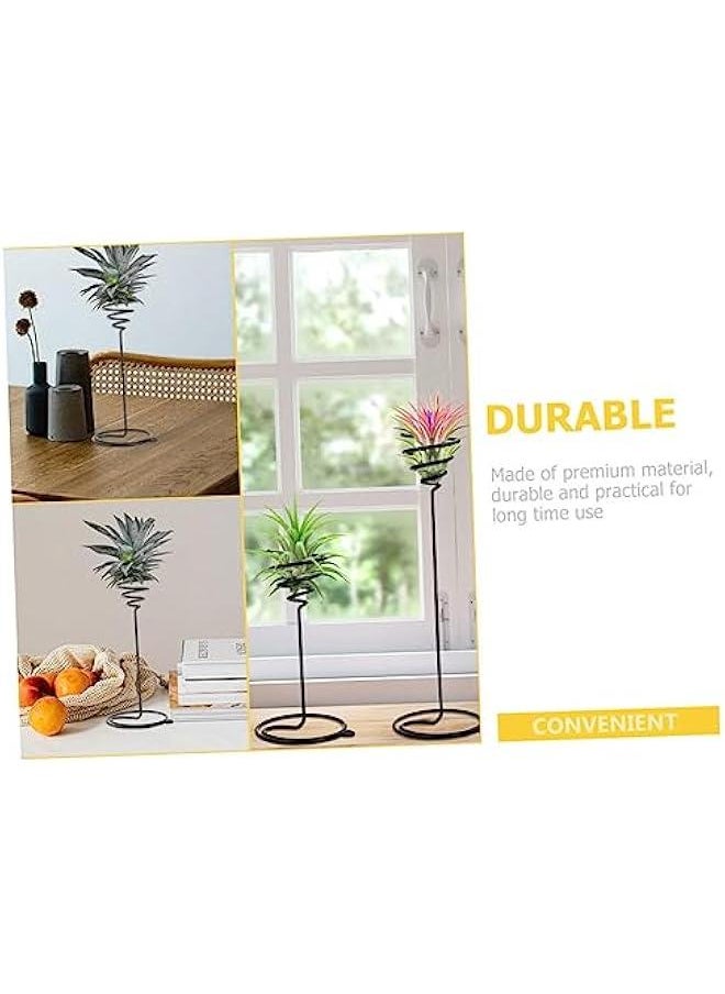 Generic - 6pcs Air Pineapple Hook Stainless Steel Plant Stand Tillandsia Planter Air Plant Holder Plant Storage Holder Air Plant Display Rack Air Plant Shelves Flower Pot - Image 1