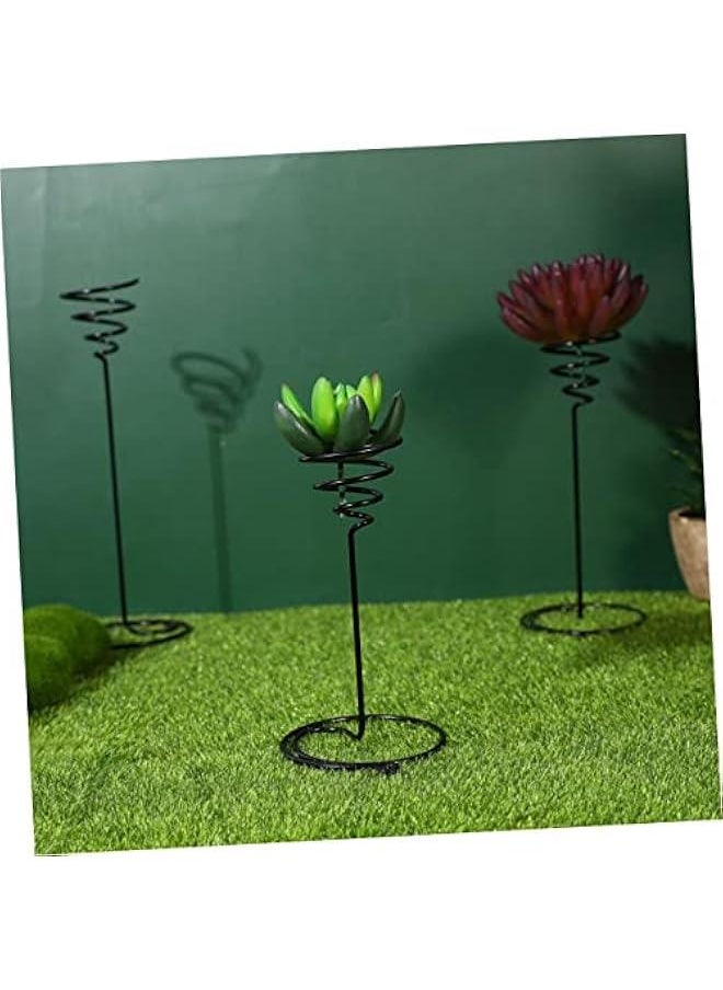 Generic - 6pcs Air Pineapple Hook Stainless Steel Plant Stand Tillandsia Planter Air Plant Holder Plant Storage Holder Air Plant Display Rack Air Plant Shelves Flower Pot - Image 1