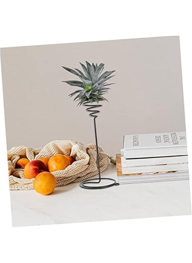 Generic - 6pcs Air Pineapple Hook Stainless Steel Plant Stand Tillandsia Planter Air Plant Holder Plant Storage Holder Air Plant Display Rack Air Plant Shelves Flower Pot - Image 1