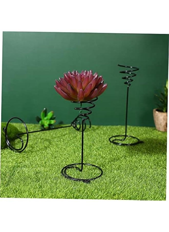 Generic - 6pcs Air Pineapple Hook Stainless Steel Plant Stand Tillandsia Planter Air Plant Holder Plant Storage Holder Air Plant Display Rack Air Plant Shelves Flower Pot - Image 1