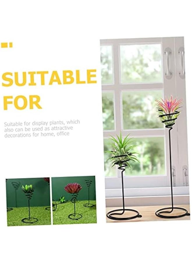Generic - 6pcs Air Pineapple Hook Stainless Steel Plant Stand Tillandsia Planter Air Plant Holder Plant Storage Holder Air Plant Display Rack Air Plant Shelves Flower Pot - Image 1