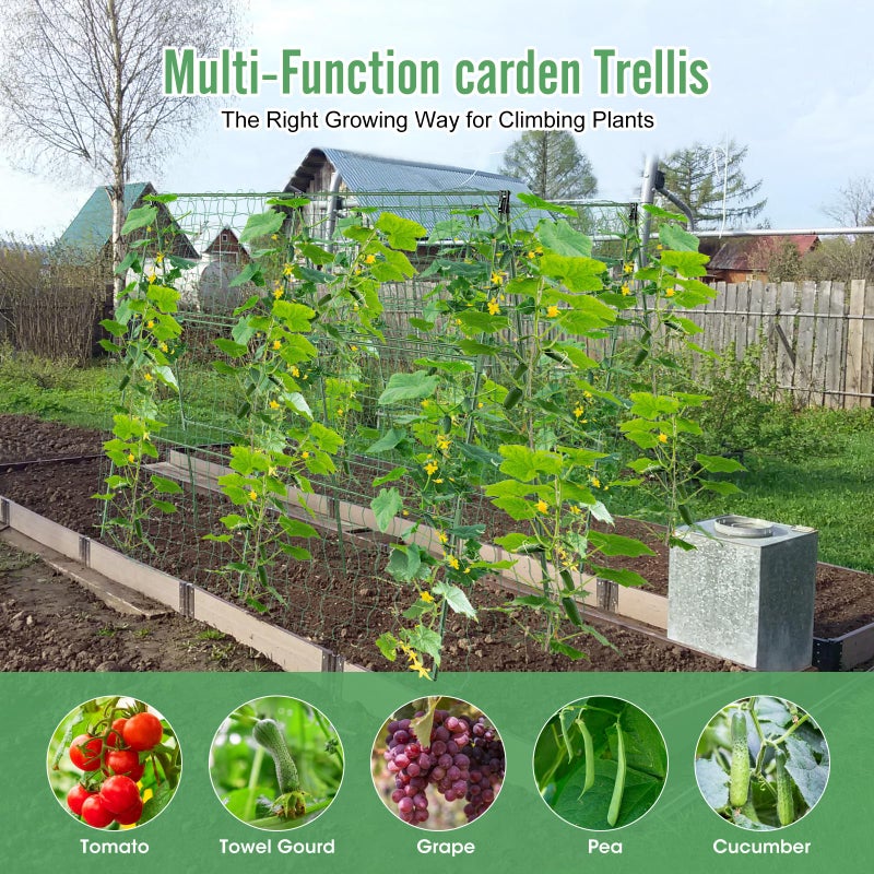 MQHUAYU 2PCS Cucumber Trellis for Climbing Plants Outdoor, Garden Trellis for Raised Bed Garden,Vegetable Grow Supports with Climbing Net for Tomato Bean Squash, Grape Zucchini (2PCS) - Image 5
