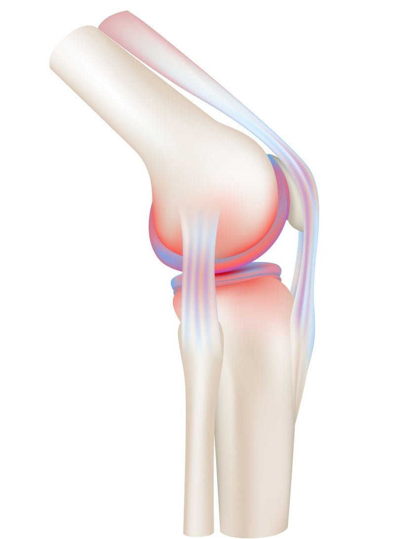 نوتركسين نوتراكسين اكسترا جل 100 مل - Image 4