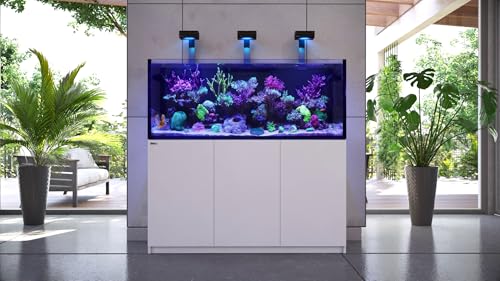 Red Sea Reef Foundation A (Ca/Sr) Supplement, 1000ml - Calcium & Strontium Additive for Healthy Coral Growth in Marine & Reef Aquariums - Image 3