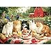 EIYRURU 300 Piece Puzzles for Adults Spring 300 Piece Puzzles for Adults Large Piece Cats Having Picnic Jigsaw Puzzle Funny Gift for Adult Kids Challenging Family Games Toy 205 X 15 in - Image 2