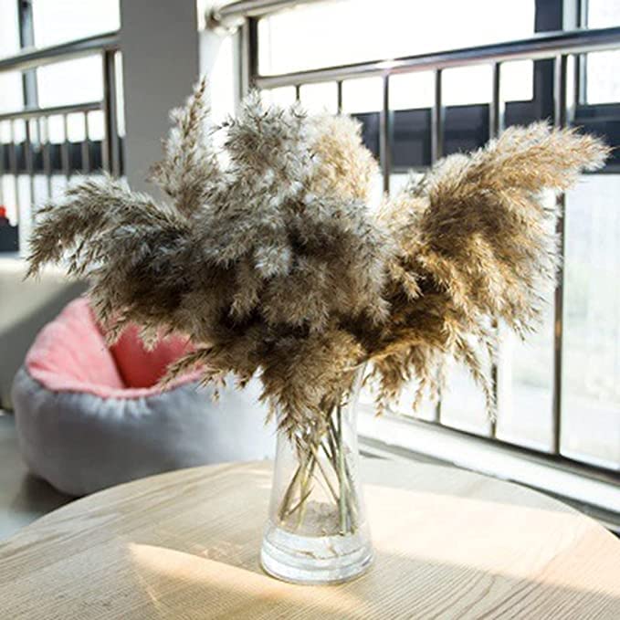Generic Dried Reed Pampas Grass Natural Photography Prop Dried Plant Bunch for Wedding Dried Reed Stems Khaki  - Image 1