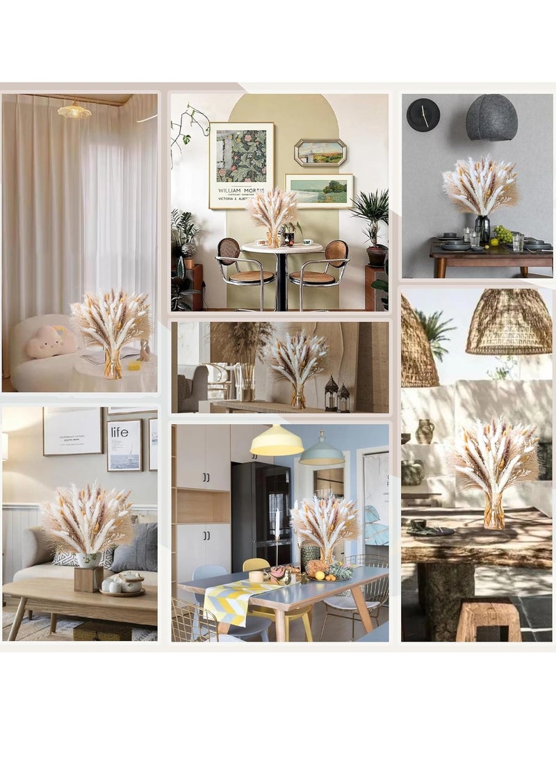 RATSAW 93Pcs Natural Pampas Grass 8 Kind Grass Mix Bouquet Dried Pampas Bouquet for Wedding Flowers Home Table Desk Decor Rustic Farmhouse Decor  - Image 2
