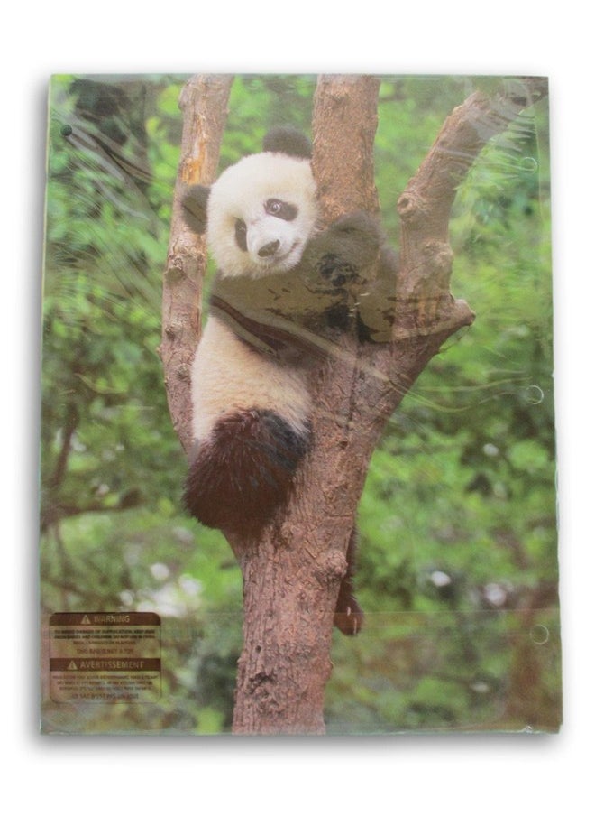 JOT - Kittens With Yarn And Panda Bear Folders Bundle Set Of Two 3Hole 2Pocket Portfolio Folders - Image 1