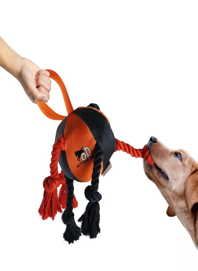 ALL FOR PAWS Dog Toys 13.8 Inches - Durable Tug-of-War, Fetch, and Chew Toys not for Aggressive Chewers with Rope, Ball, and Dental Knots - Interactive Indestructible Toy for Medium Breed Dogs - Image 1