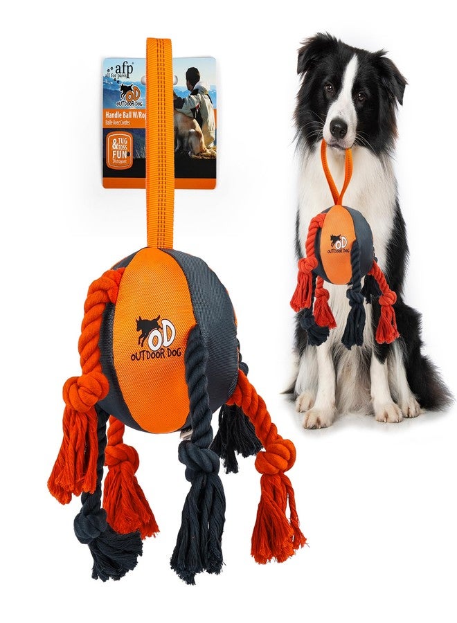 ALL FOR PAWS Dog Toys 13.8 Inches - Durable Tug-of-War, Fetch, and Chew Toys not for Aggressive Chewers with Rope, Ball, and Dental Knots - Interactive Indestructible Toy for Medium Breed Dogs - Image 2