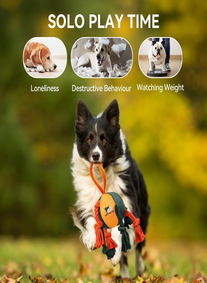 ALL FOR PAWS Dog Toys 13.8 Inches - Durable Tug-of-War, Fetch, and Chew Toys not for Aggressive Chewers with Rope, Ball, and Dental Knots - Interactive Indestructible Toy for Medium Breed Dogs - Image 5