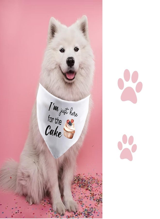 JXGZSO 1 Piece I'm Just Here for The Cake Funny Dog Wedding Bandana Engagement Announcement Gift (for The Cake D) - Image 5
