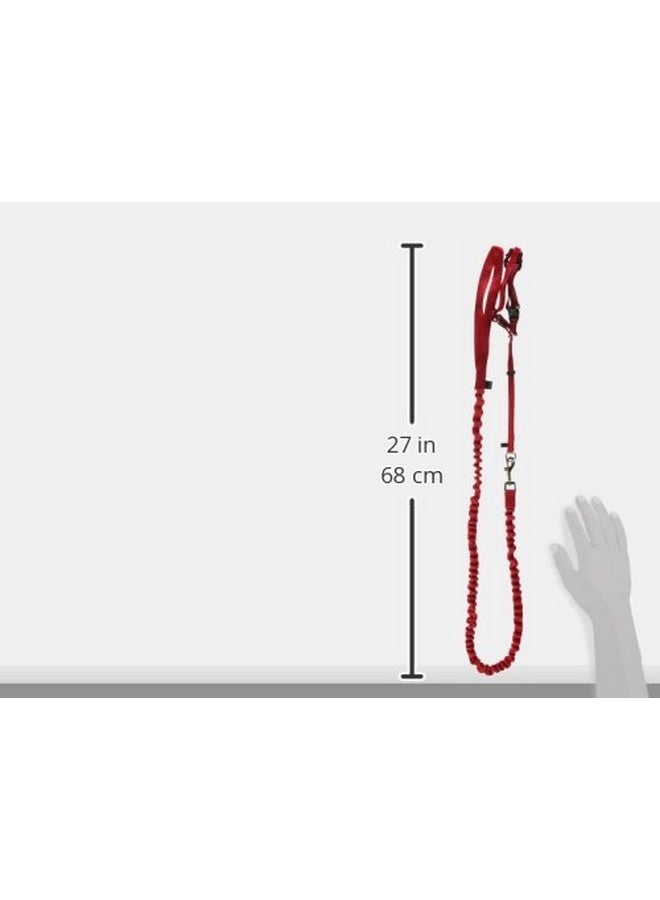 بيت سيف حزام ومقود بنجي للقطط من بيت سيف، مقاس متوسط، أحمر - Image 3