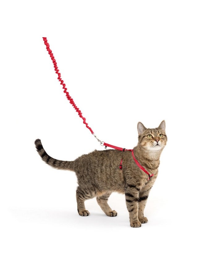 بيت سيف حزام ومقود بنجي للقطط من بيت سيف، مقاس متوسط، أحمر - Image 1