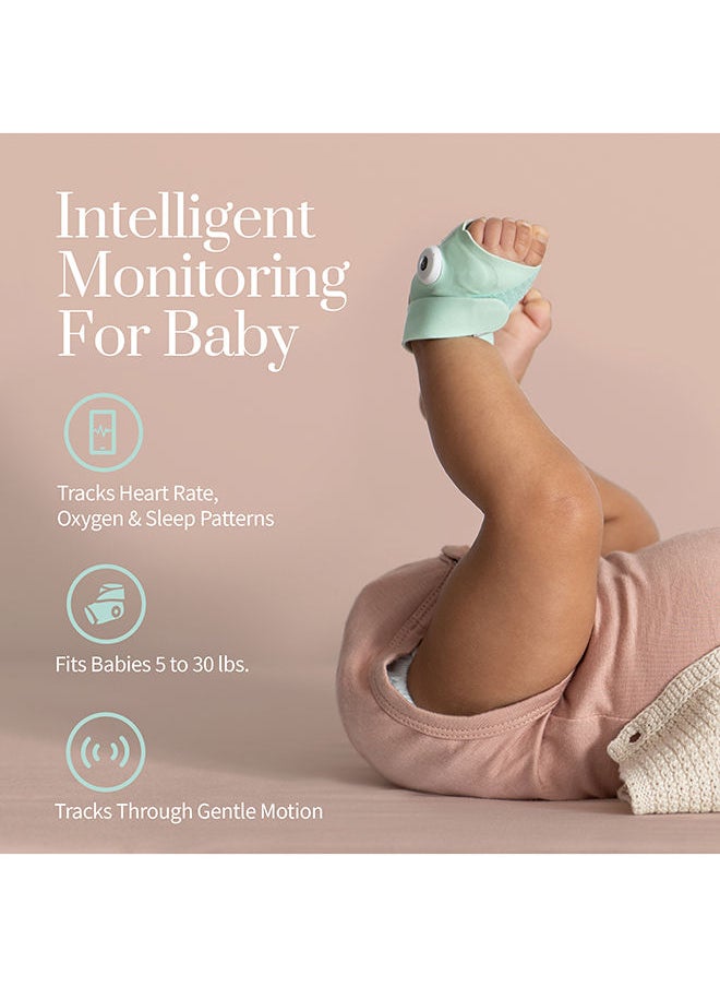 Owlet - Bundle Cam And Smart Sock 3 Original Mint - Image 1