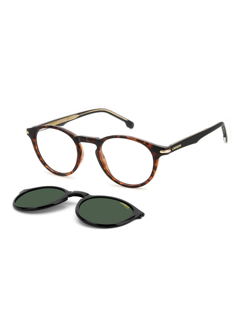Carrera - PANTHOS CARRERA Sunglasses - Image 1