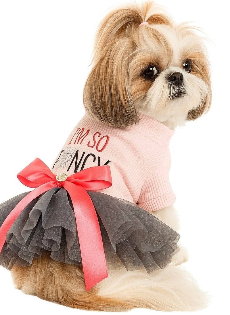KUTKUT Fancy Tutu Small Dog Cat Girl Dress - Pink Top with I m so Fancy Print, Mesh Skirt & Red Bow, Puppy Girl Party Outfit Cat Dress, Pet Clothing for Pug, Cavalier King etc(Size: XL, Chest: 50cm) - Image 1