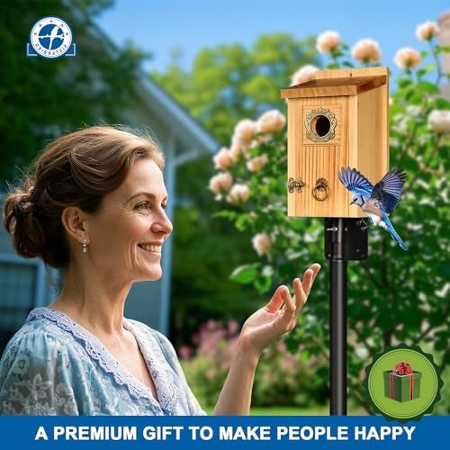 SISTERBIRD Premium Pack of 2 Bluebird Houses for Outside, Garden Bird Houses for Outdoor, Vintage Metal Predator Guard, Birdhouse Gift, Weatherproof Coating Bird Nesting, Assembly Required - Image 2