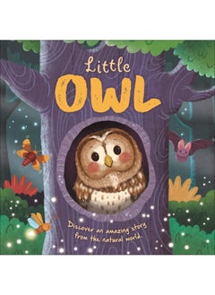 Little Owl  - Image 1