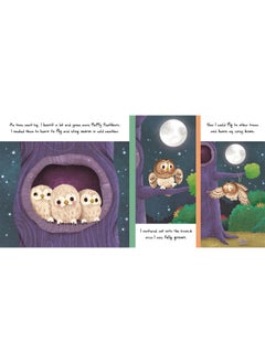 Little Owl  - Image 2