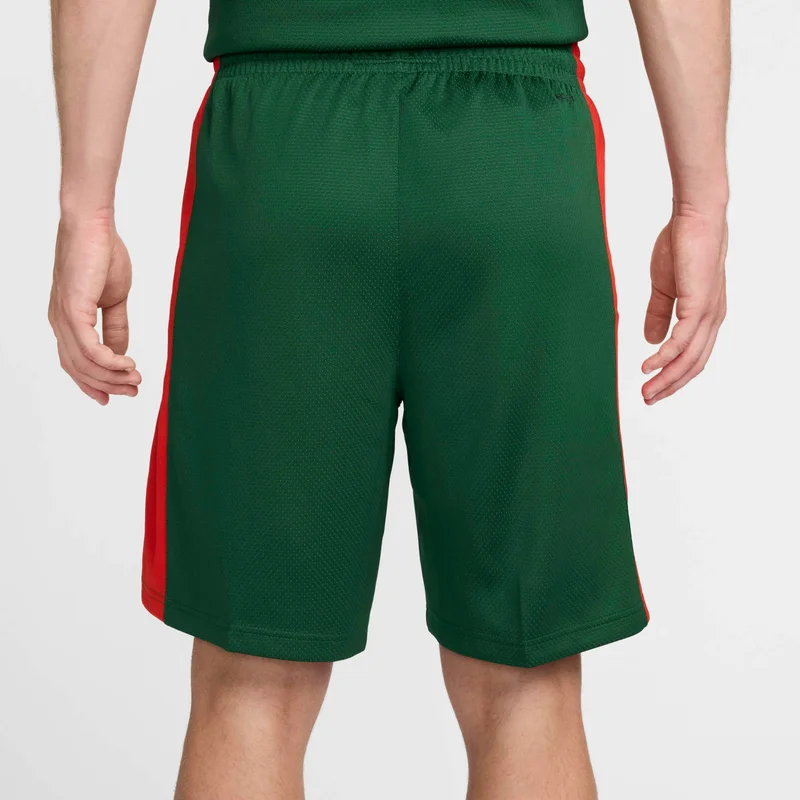 Nike Men's Lithuania Limited Road Basketball Shorts
