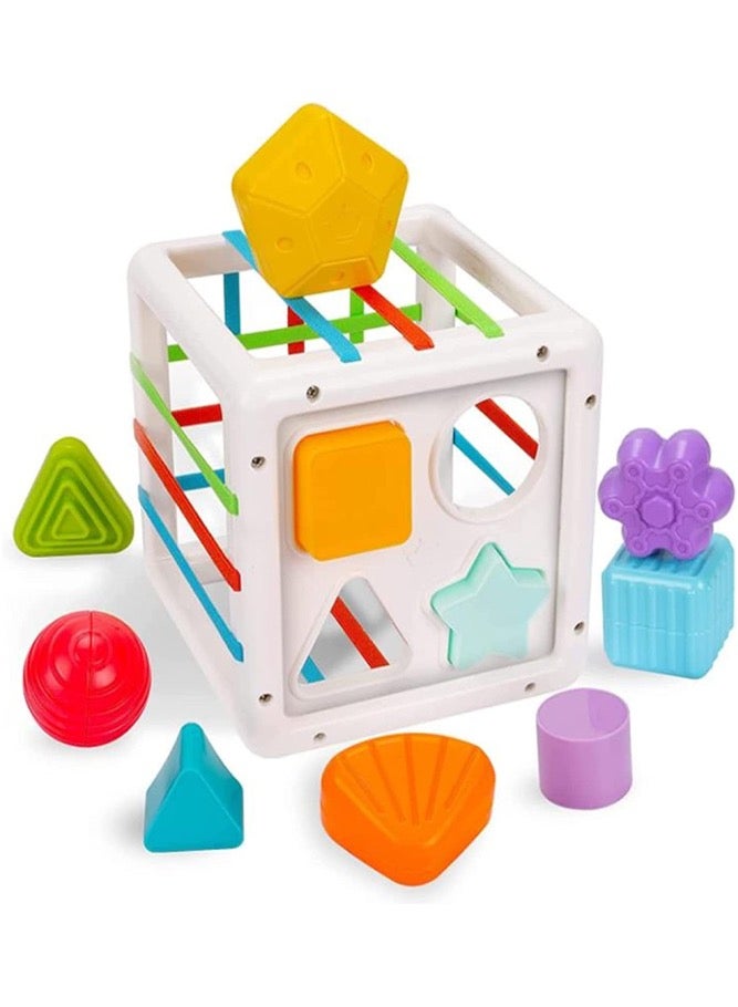 Baby Sensory Bin Toddler Shape Sorter Toys Set Colorful Cube With 10 Sensory Shape Blocks - Image 1