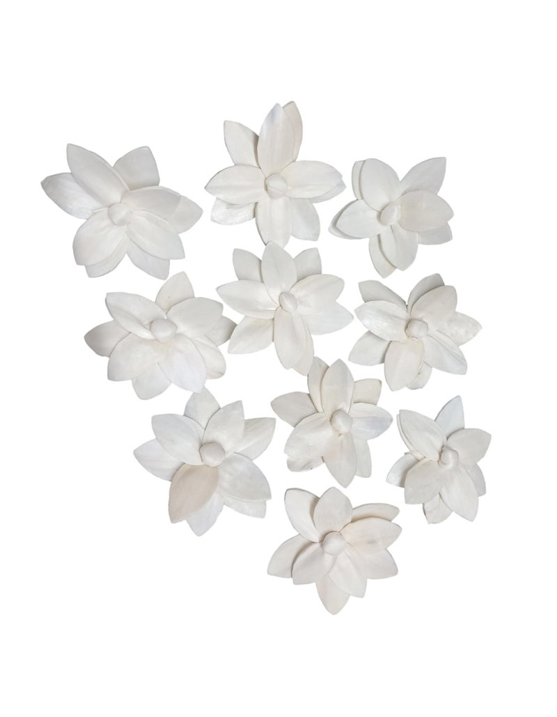 PRANSUNITA Sola Wood Diffuser Aromatherapy Flowers (No Bark) - Artificial Handmade for Decoration, Flower Bouquets, Centerpieces, DIY Home Decor and Craft Supplies – 10 cm Dia – Pack of 10 pcs - Image 1