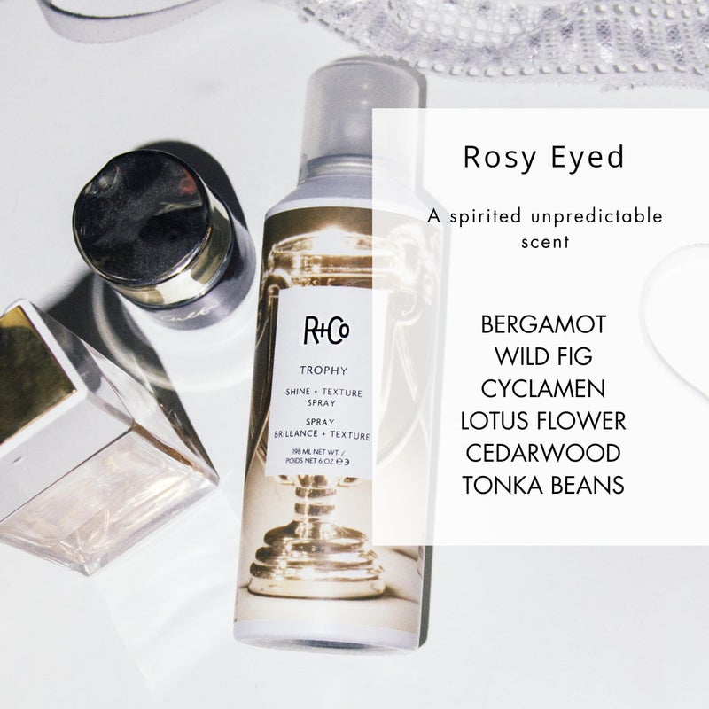 R+Co Trophy Shine + Texture Spray 198 ml / 6 oz - Image 5