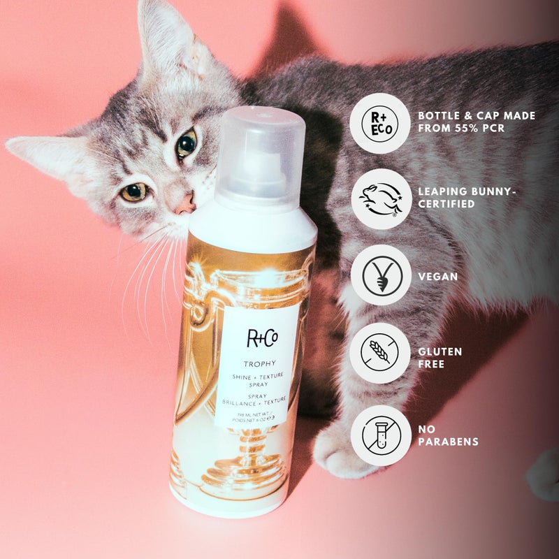 R+Co Trophy Shine + Texture Spray 198 ml / 6 oz - Image 4