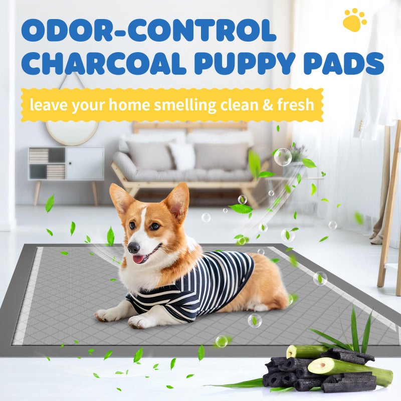 Powools 100-Pack X-Large Puppy Pads - 34'' x 28'' Pee Pads for Dogs Potty Training with Leak-Proof Quick-Dry Design, 6-Layer Wee Wee Pads for Dogs, Charcoal, Black - Image 5